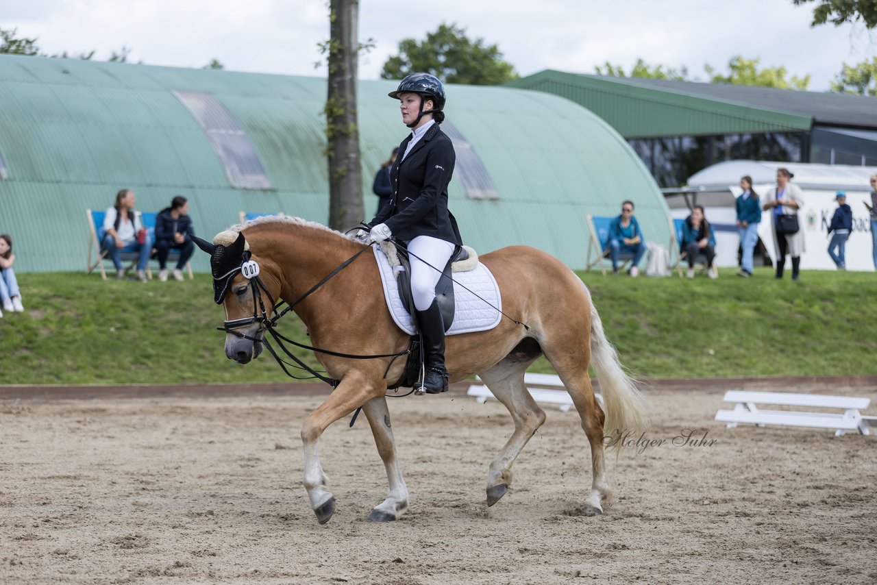 Bild 250 - Pony Akademie Turnier